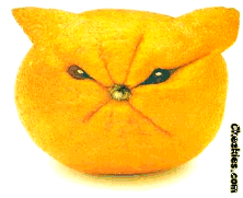 sour-puss-lemon-face